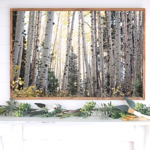 Colorado Landscape Prints, Aspen tree photography, Birch tree wall art, mountain cabin decor, winter forest wall art, horizontal aspen art image 3