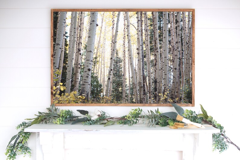 Colorado Landscape Prints, Aspen tree photography, Birch tree wall art, mountain cabin decor, winter forest wall art, horizontal aspen art image 3