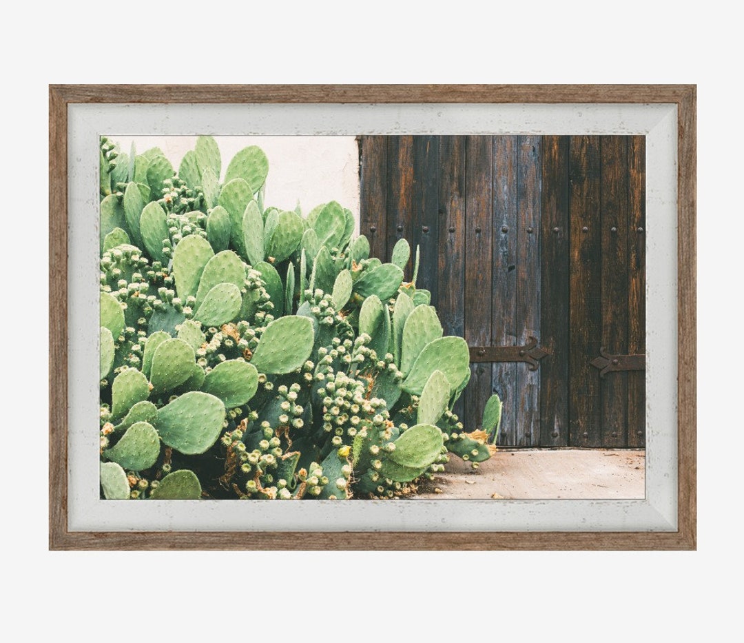 FRAMED Texas Photography, Framed Marfa Texas Wall Art, Texas Prickly