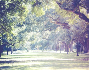 New Orleans Photography | Audubon Park New Orleans | Louisiana Landscape | New Orleans Print | Louisiana Art | Large Wall Art