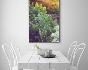 Puede incluir: Una fotografía enmarcada de una planta de cactus con hojas verdes sobre un fondo borroso de una pared marrón y follaje verde.