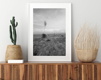 Texas Supercell Thunderstorm Black and White Fine Art Photography Print ...