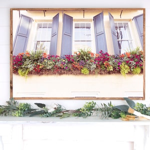 Charleston South Carolina Photography, Charleston Window Boxes print, Charleston Wall Art, Lowcountry Wall Art, Southern Home Decor image 2