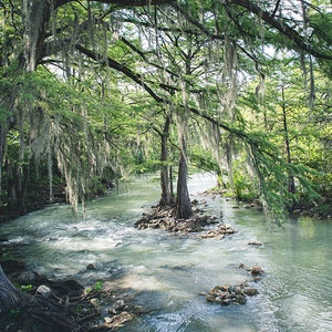 Guadalupe River Gruene Texas Unframed Photography