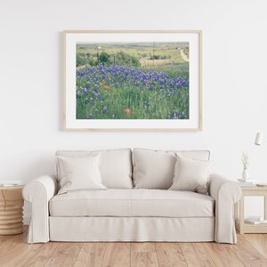 May include: A framed photograph of a field of bluebonnet wildflowers with a few red poppies in the foreground. The field is in the Texas countryside with a fence and a dirt road in the background.