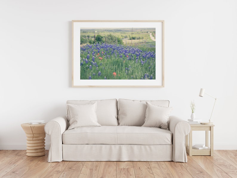 May include: A framed photograph of a field of bluebonnet wildflowers with a few red poppies in the foreground. The field is in the Texas countryside with a fence and a dirt road in the background.