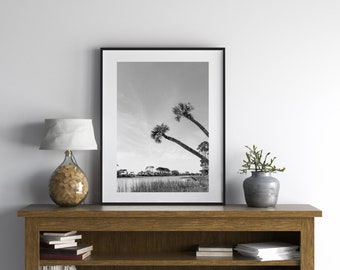 SC palmetto palm tree print, Lowcountry Landscape Photography, Southern Home Decor, Lowcountry wall art, black and white palm tree photo
