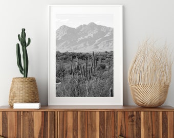 Saguaro National Park Print, Arizona Photography Print, Arizona Landscape Photography, Desert Wall Art, Rincon Mountains Photography,