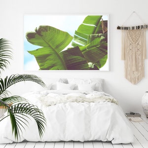 botanical photography, banana leaf print, tropical decor, botanical art. botanical prints. large wall art, tropical home decor,