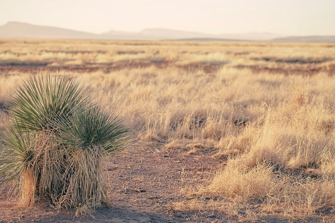 black and white photography landscape west texas