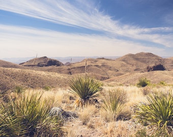 May include: A panoramic view of a desert landscape with rolling hills and a blue sky with white clouds. The foreground features several green yucca plants growing in the dry, brown soil.