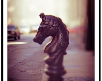 New Orleans Photography | French Quarter Hitching Post | French Quarter Art | Large New Orleans Art | New Orleans Decor