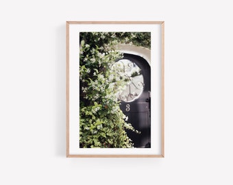Charleston Wall Art, Charleston South Carolina Photography, charleston door print, southern home decor, charleston home decor, door wall art