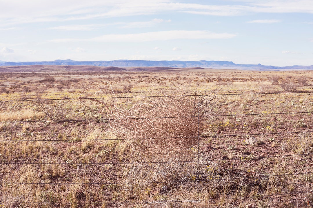 West Texas Landscape Photography Print, Texas Desert Landscape Wall Art