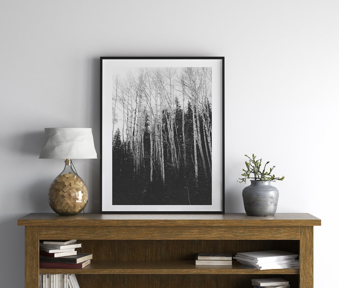 Aspen Wall Art, Black and White Cabin Wall Art, Colorado Aspen