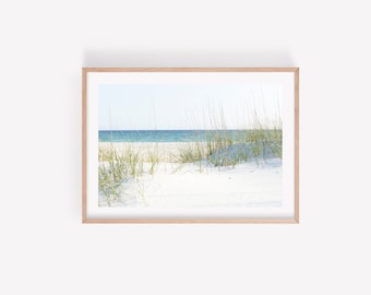 Florida beach photography, Grayton Beach Photography Print, 30A Wall Art, Coastal Grandmother Decor, Florida Wall Art, Nature Home Decor