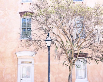 Charleston South Carolina Photography, Charleston SC wall art, Charleston Architecture Print, Lowcountry Wall Art, Southern Coastal Art