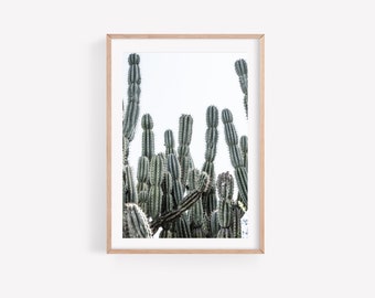Cactus photography, boho wall art, desert cactus art, southwestern wall art, arizona photography, desert wall art, modern desert decor,
