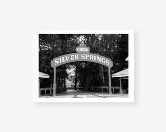 Florida Wall Art Black and White Print, Silver Springs State Park Photography Print, Florida Natural Springs Print, Old Florida Print