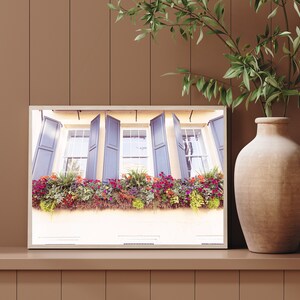 Charleston South Carolina Photography, Charleston Window Boxes print, Charleston Wall Art, Lowcountry Wall Art, Southern Home Decor image 6