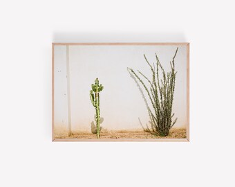 Modern minimalist cactus photography, Marfa Texas Photography