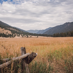May include: A wooden fence post with a weathered, brown finish stands in a field of tall, dry grass. The grass is a light brown color, and the background is a lush green forest with rolling hills.