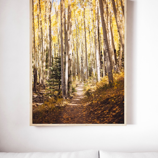 Aspen Photography - Etsy