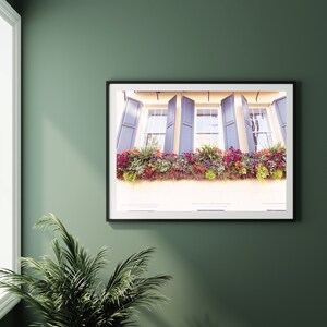 Charleston South Carolina Photography, Charleston Window Boxes print, Charleston Wall Art, Lowcountry Wall Art, Southern Home Decor image 3