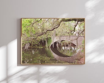 New Orleans photography  | Audubon Park| Print New Orleans Print | Louisiana landscape | Large Wall Art | Live Oak Tree Print | Nola Art