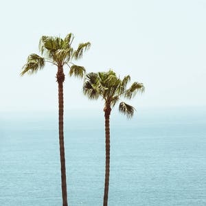 Laguna Beach Photography, Los Angeles Print, Palm trees wall art, minimalist beach wall art, Los angeles photography, palm tree decor image 2