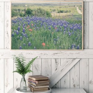May include: A framed photograph of a field of bluebonnet wildflowers in bloom. The wildflowers are in the foreground, with a green field and a dirt road in the background.