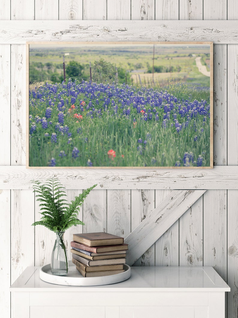 May include: A framed photograph of a field of bluebonnet wildflowers in bloom. The wildflowers are in the foreground, with a green field and a dirt road in the background.