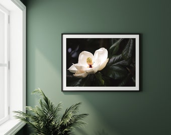 magnolia photography, southern magnolia, southern decor, magnolia art, large wall art, floral photography, southern photography dark green