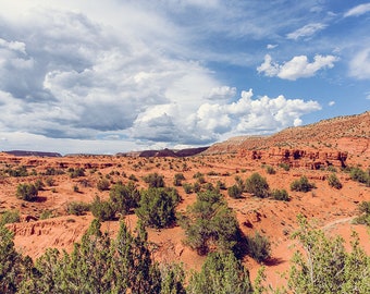 New Mexico Landscape Prints, Desert Landscape Wall Art, new Mexico Photography, Large New Mexico Landscape Photography, New Mexico Wall art