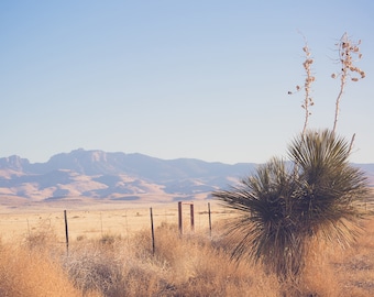 Marfa photography, marfa texas, prairie, west texas, texas decor, texas photography, mountain decor, large wall art, texas art, desert