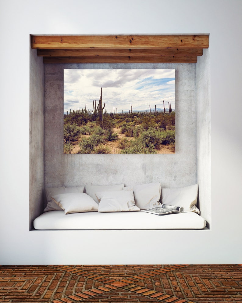 Arizona Photography Tucson Arizona Cactus Decor Arizona Etsy