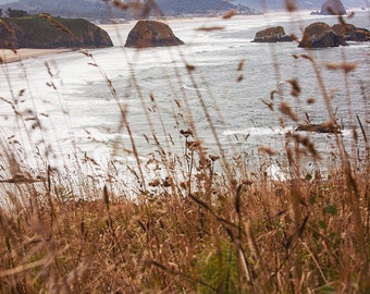 May include: A view of the ocean from a grassy cliff. The ocean is a light blue color and there are waves crashing on the shore. The grass is a light brown color and there are some tall blades of grass in the foreground.