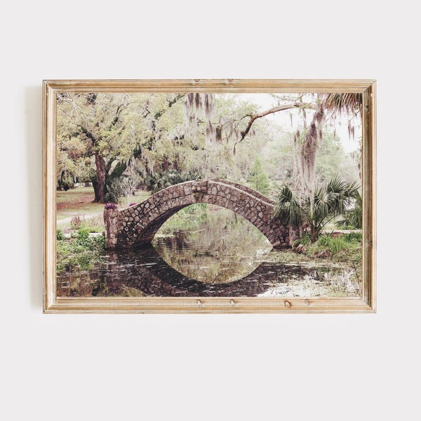 New Orleans photography | New Orleans City Park Print | City Park New Orleans | New Orleans Print | Louisiana landscape | New Orleans art
