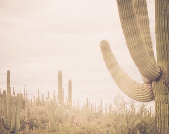 Arizona photography, cactus photography, saguaro national park, saguaro cactus, southwestern decor, southwest landscape, large wall art,