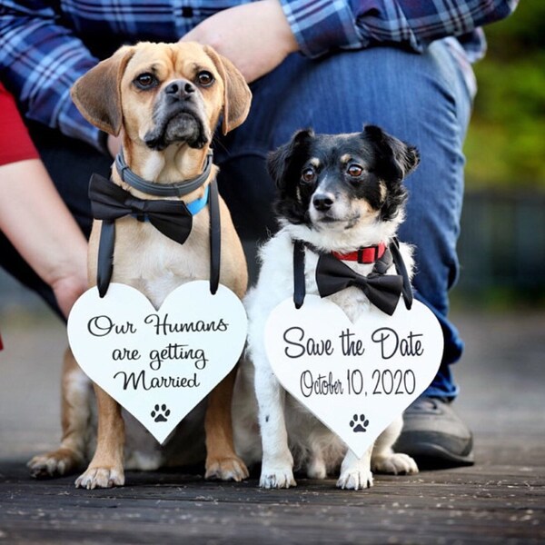 Save the Date Dog Etsy