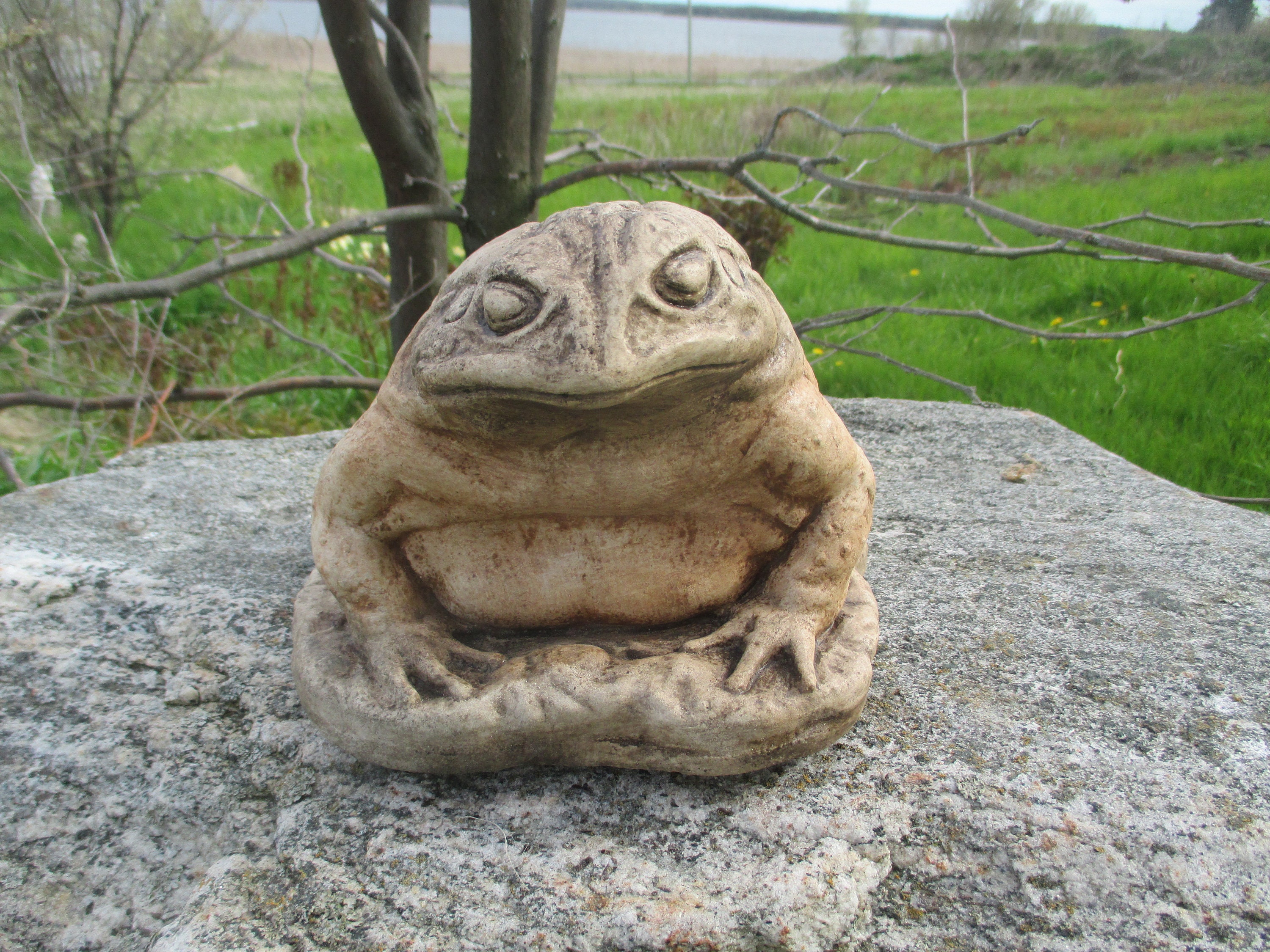 King Arthur-toad | Etsy