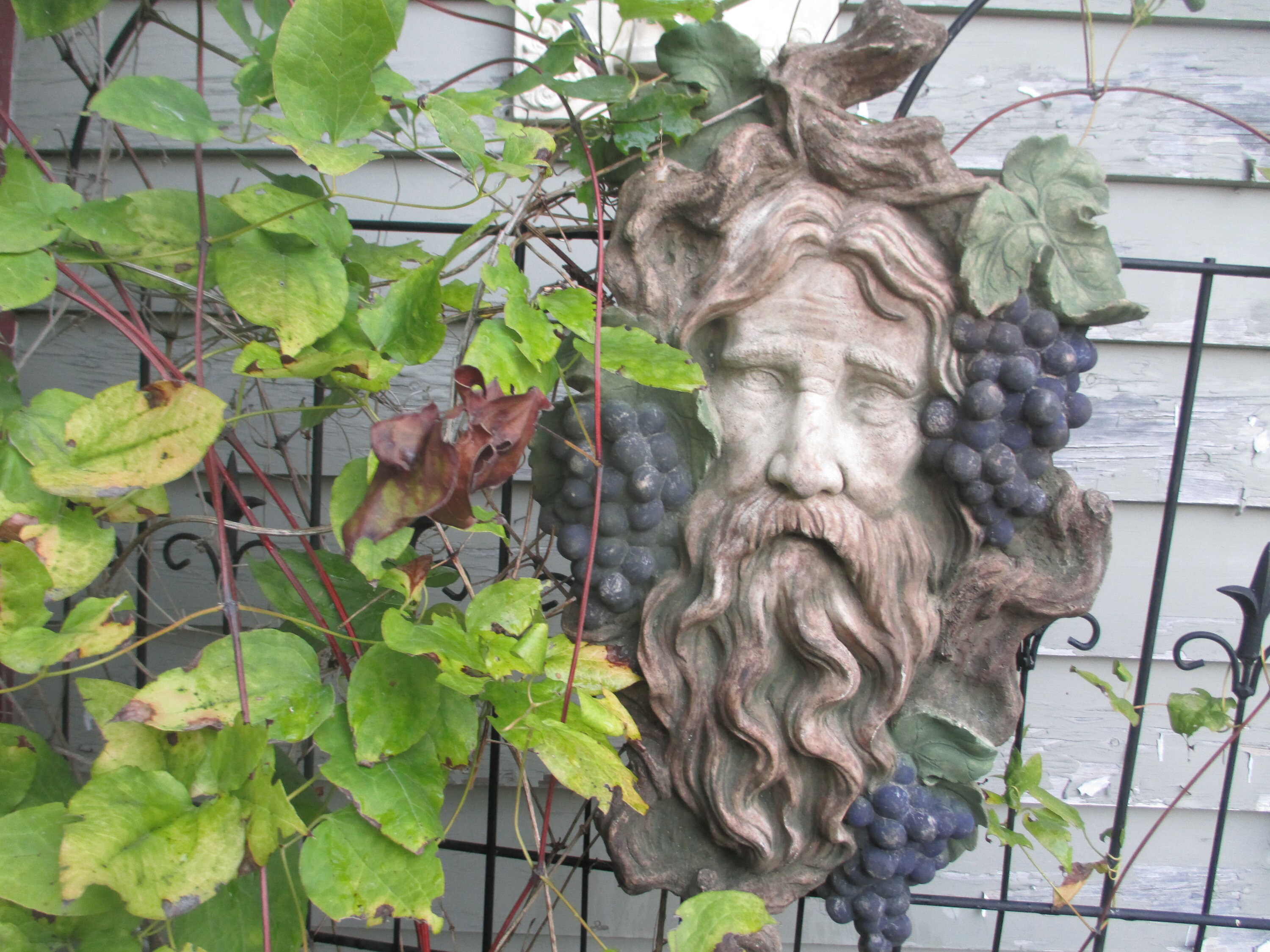 bib wine bacchus