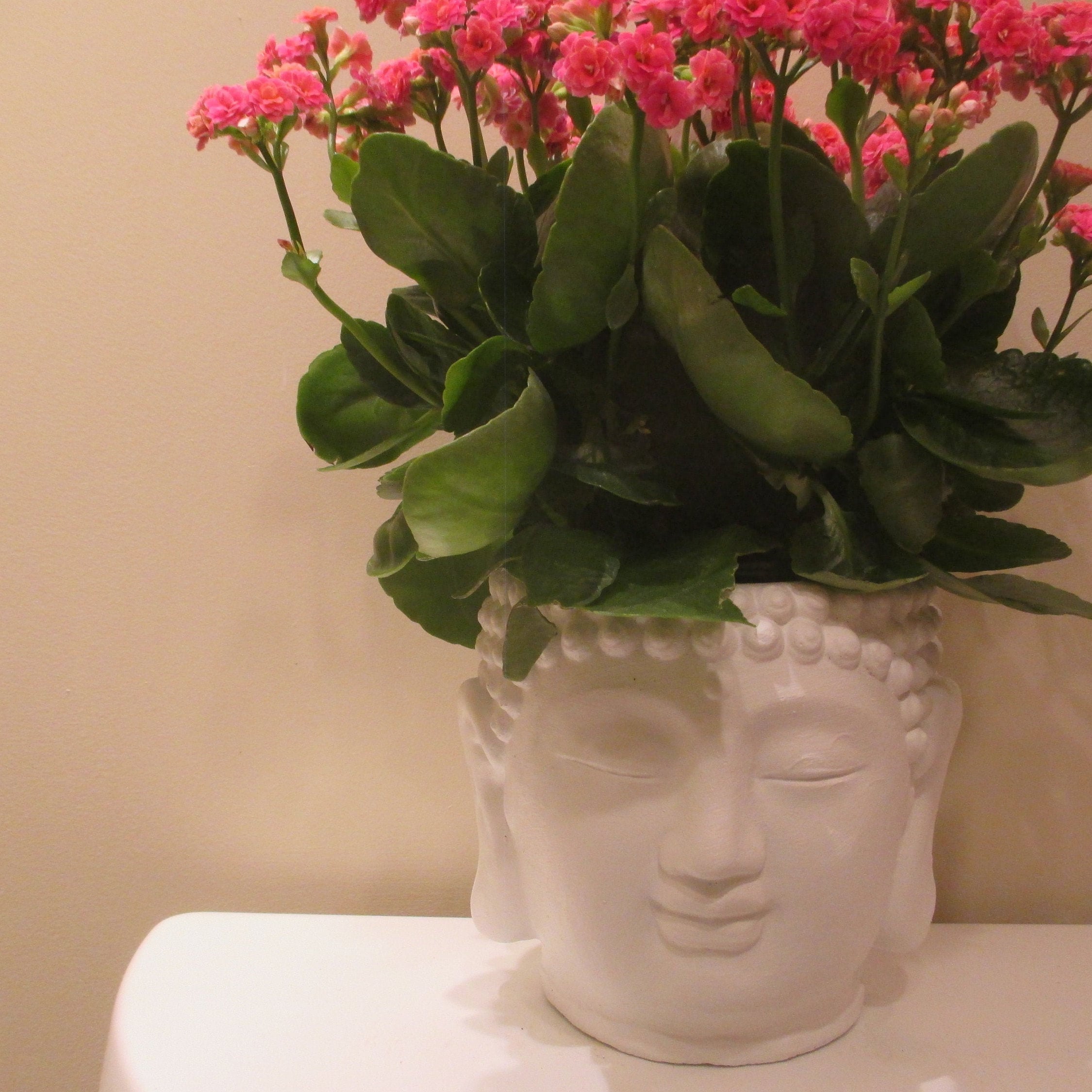 extra large buddha head planter