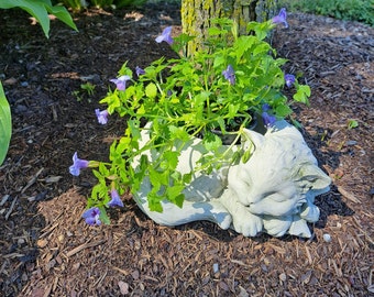 Thyme Kitty Planter