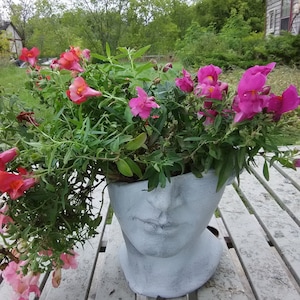 David Head Bust Planter