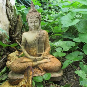 Indian Dharma Buddha Statue image 4
