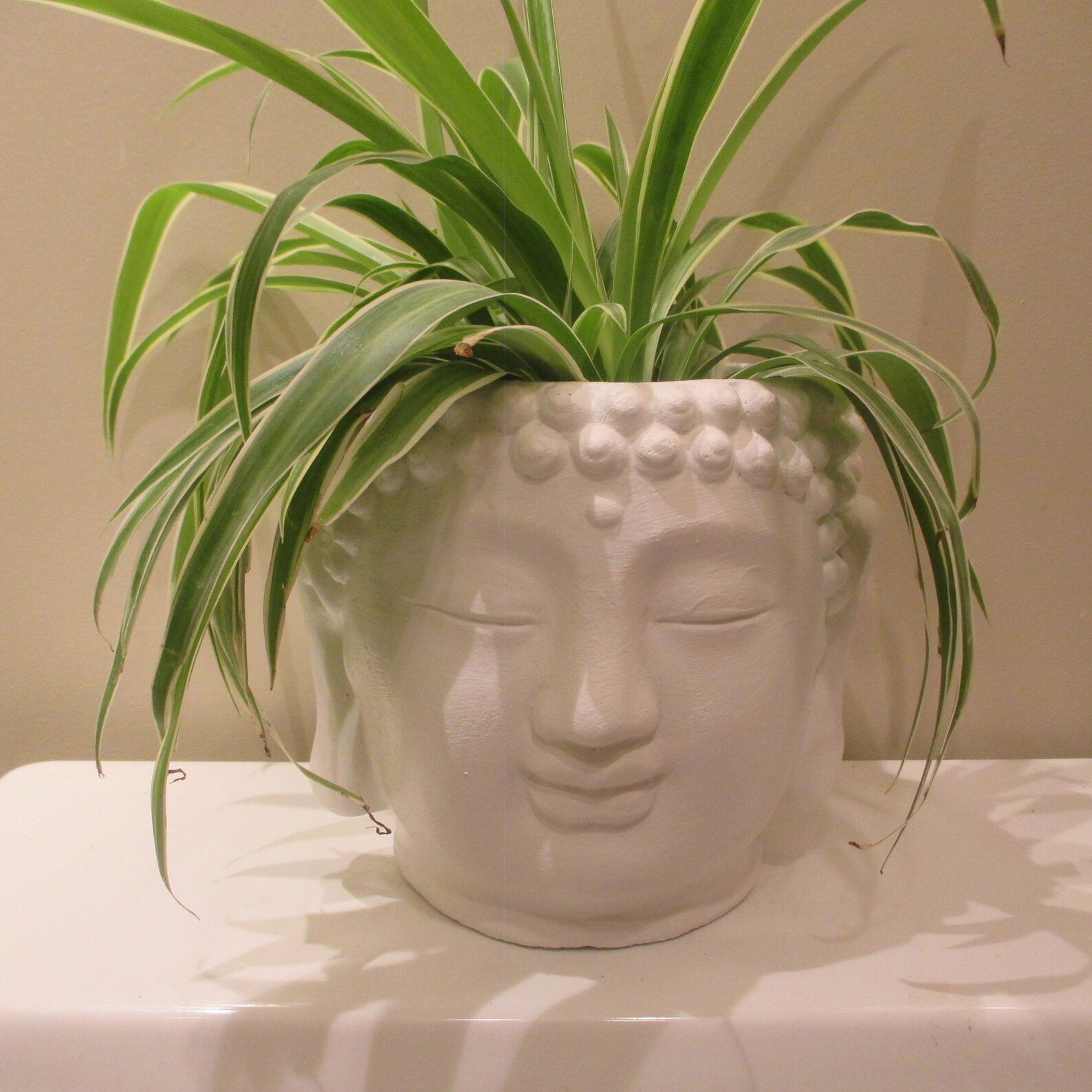 extra large buddha head planter