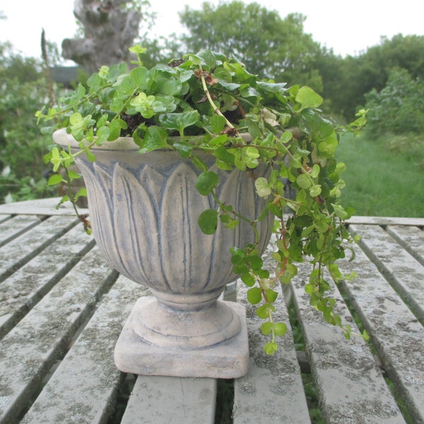 Grecian Urn Planter