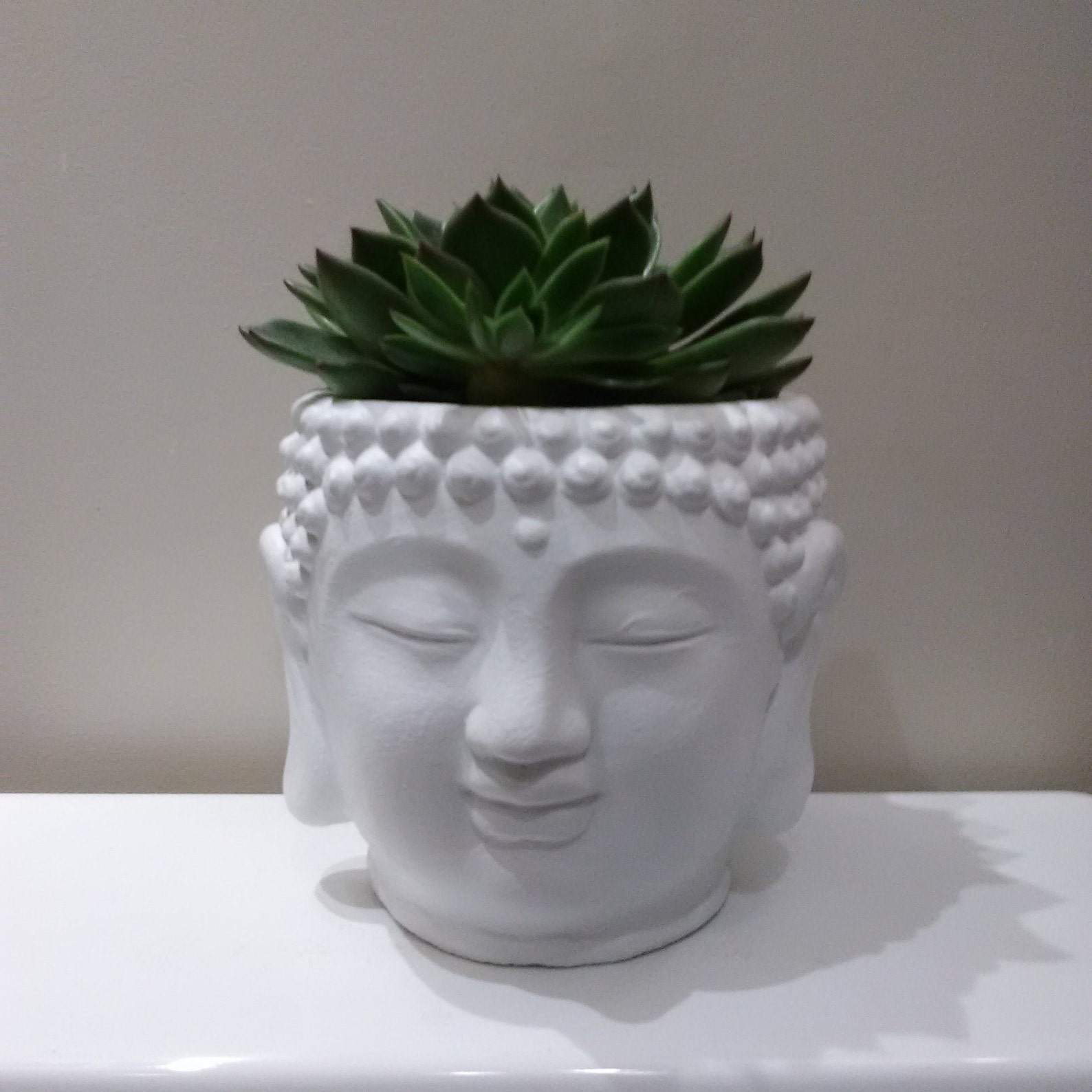 extra large buddha head planter
