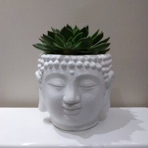 Extra Large Buddha Head Planter